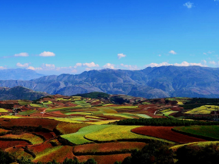 云南旅游的價格_云南旅游高端團_云南十一日游旅游團