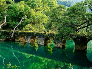 近期貴州游價(jià)格_怎么去貴州旅游_跟團(tuán)貴州旅游價(jià)格表