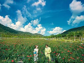 海南三亞游價格_海南三亞旅游團(tuán)報價_海南三亞自由游價格多少