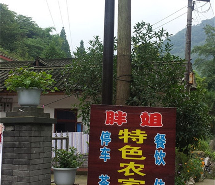 都江堰青城山胖妈农家乐
