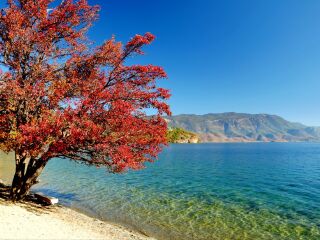 春节到泸沽湖旅游团_泸沽湖旅游需要多少钱_去泸沽湖旅游团多少钱