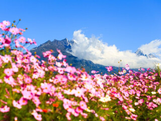 廣州云南麗江旅游團(tuán)_云南麗江組團(tuán)旅游_到云南麗江旅游