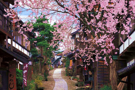 [春节]<日本大阪-奈良-东京6日游>销量明星 冰雪乐园戏雪趣  东京1天自由 2晚连住东京旺区 宇治平等院 遇见奈良小鹿 螃蟹料理 拒签全退 深圳起止