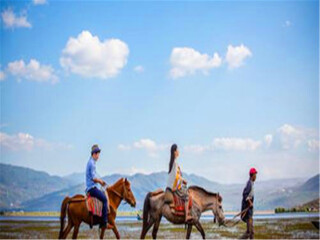 出发香格里拉旅游_香格里拉旅游5日_香格里拉双人十日游多少钱