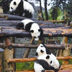 景点模块 