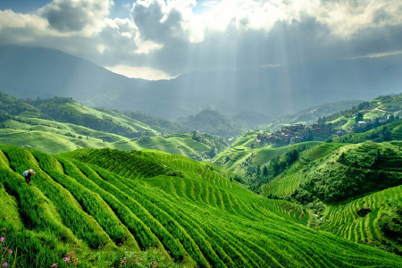 景点模块 