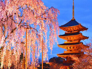 日本10日游旅行团_旅行线路日本_日本5天跟团旅游