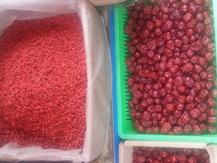 行走西部--从中卫到银川