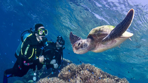 澳大利亚-凯恩斯绿岛大堡礁9日游 厦门或福州