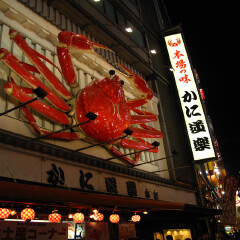 餐饮模块 