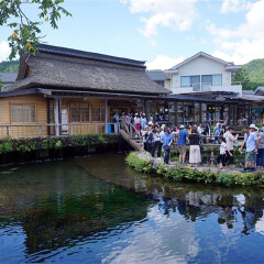 景点模块 