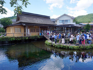 旅行团日本旅游_日本旅游不跟团_去日本7天游