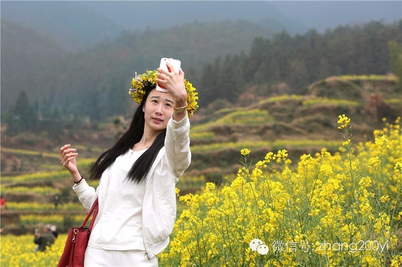 婺源,油菜花海里的春天