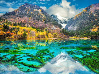 怎么去四川九寨溝旅游_四川九寨溝旅游價(jià)格_四川九寨溝報(bào)團(tuán)多少錢