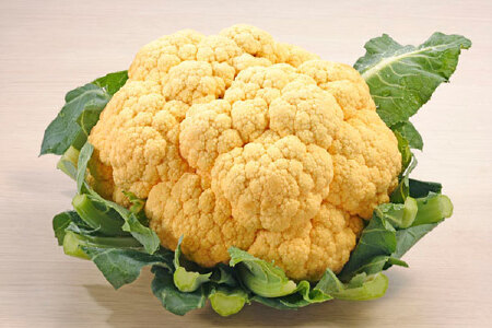 food_picture