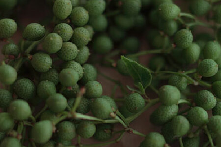 food_picture