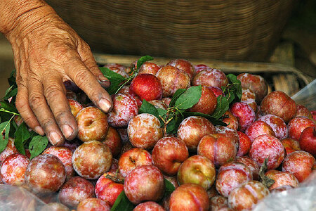 food_picture