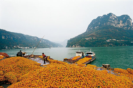 food_picture
