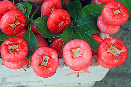food_picture