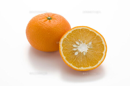 food_picture