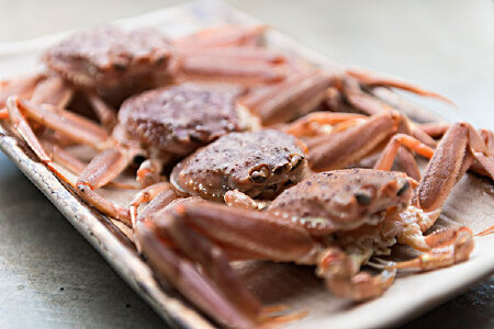 food_picture