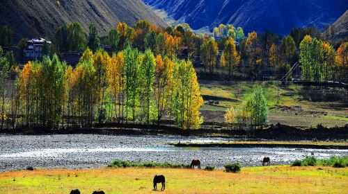 <四姑娘山-丹巴藏寨-道孚民居-色达五明佛学院-塔公-新都桥川西环线7日游