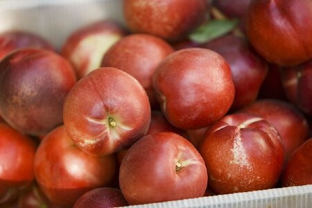 food_picture