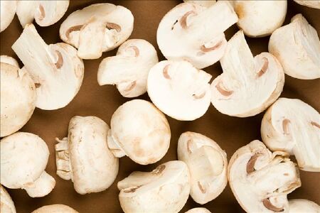 food_picture