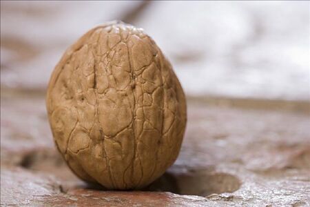 food_picture