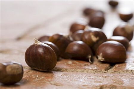 food_picture