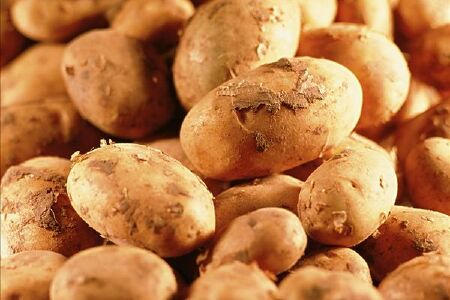 food_picture
