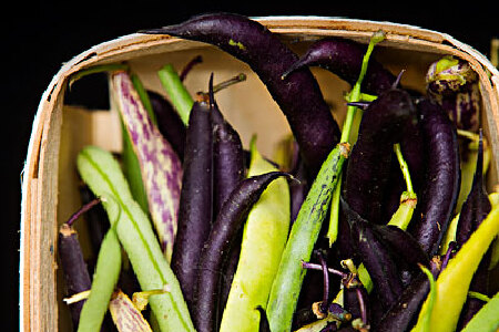 food_picture