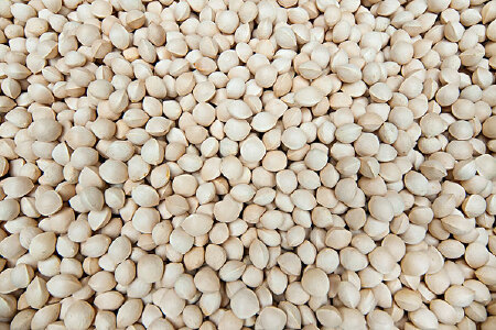 food_picture