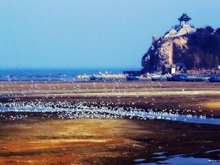 廣州北戴河旅游團(tuán)_北戴河旅游團(tuán)報(bào)價(jià)2021_北戴河自由行組團(tuán)