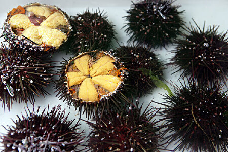 food_picture