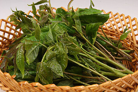 food_picture