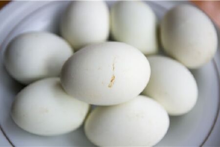 food_picture