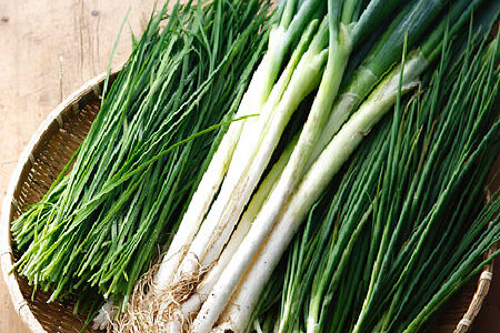 food_picture