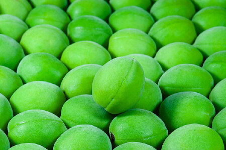 food_picture