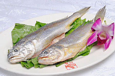 food_picture