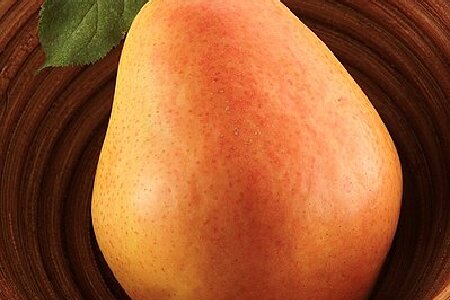 food_picture