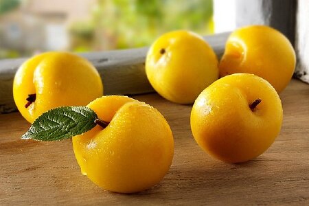 food_picture