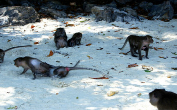 中秋节去甲米旅游必备物品_中秋节去甲米旅游