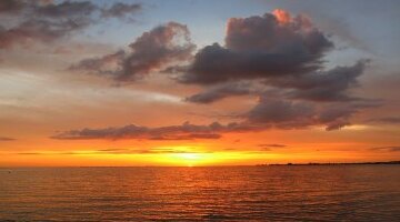 【1-10人包车】 迈阿密大沼泽国家公园+南海滩