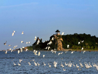 北戴河組團(tuán)旅游_北戴河旅游價(jià)格多少跟團(tuán)_北戴河九月旅游