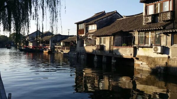 从西沙湿地到枫泾多远_从西沙湿地到枫泾怎么