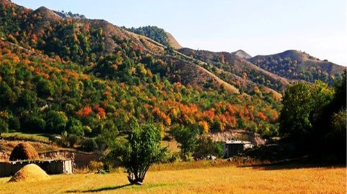 火车,乘空调bus赴【aaaa大西沟福寿山景区】(俗称百寿山)周围山峦起伏