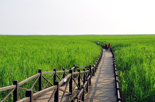 从西沙湿地到豫园线路图_从西沙湿地到豫园怎么过去_从西沙湿地到豫园