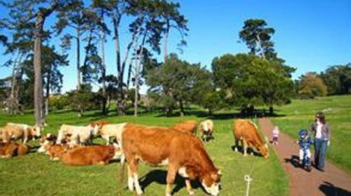 http:\/\/www.tuniu.com\/tour\/210116176