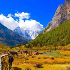 景点模块 